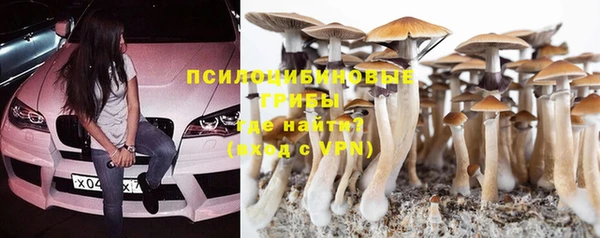 a pvp Алзамай
