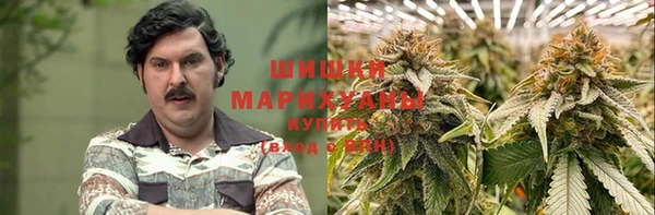 молекула духа Алексеевка