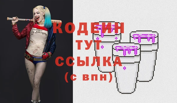 метадон Алексин