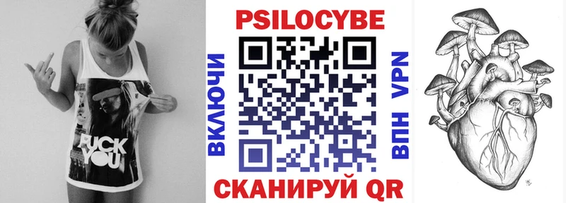 купить наркотик  Нижний Тагил  Псилоцибиновые грибы Psilocybine cubensis 